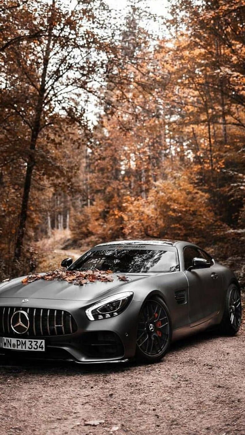 Mercedes-AMG GT, Mercedes-AMG, Graues Auto, Herbstwald, Herbst, Android-Hintergrundbild