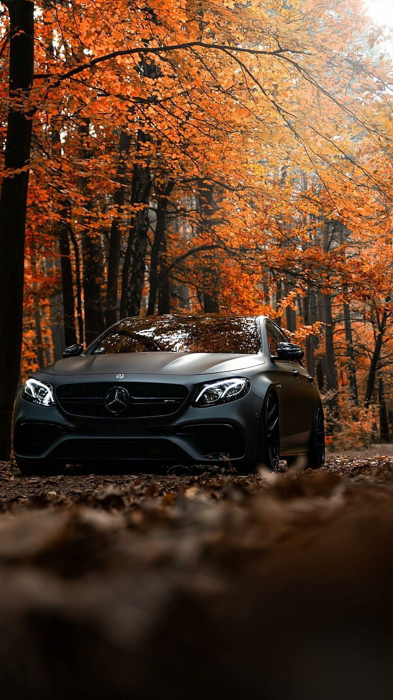 Mercedes-AMG E 63, Mercedes-Benz, Limousine, Herbstwald, Herbstlaub, HD, Handy-Hintergrund