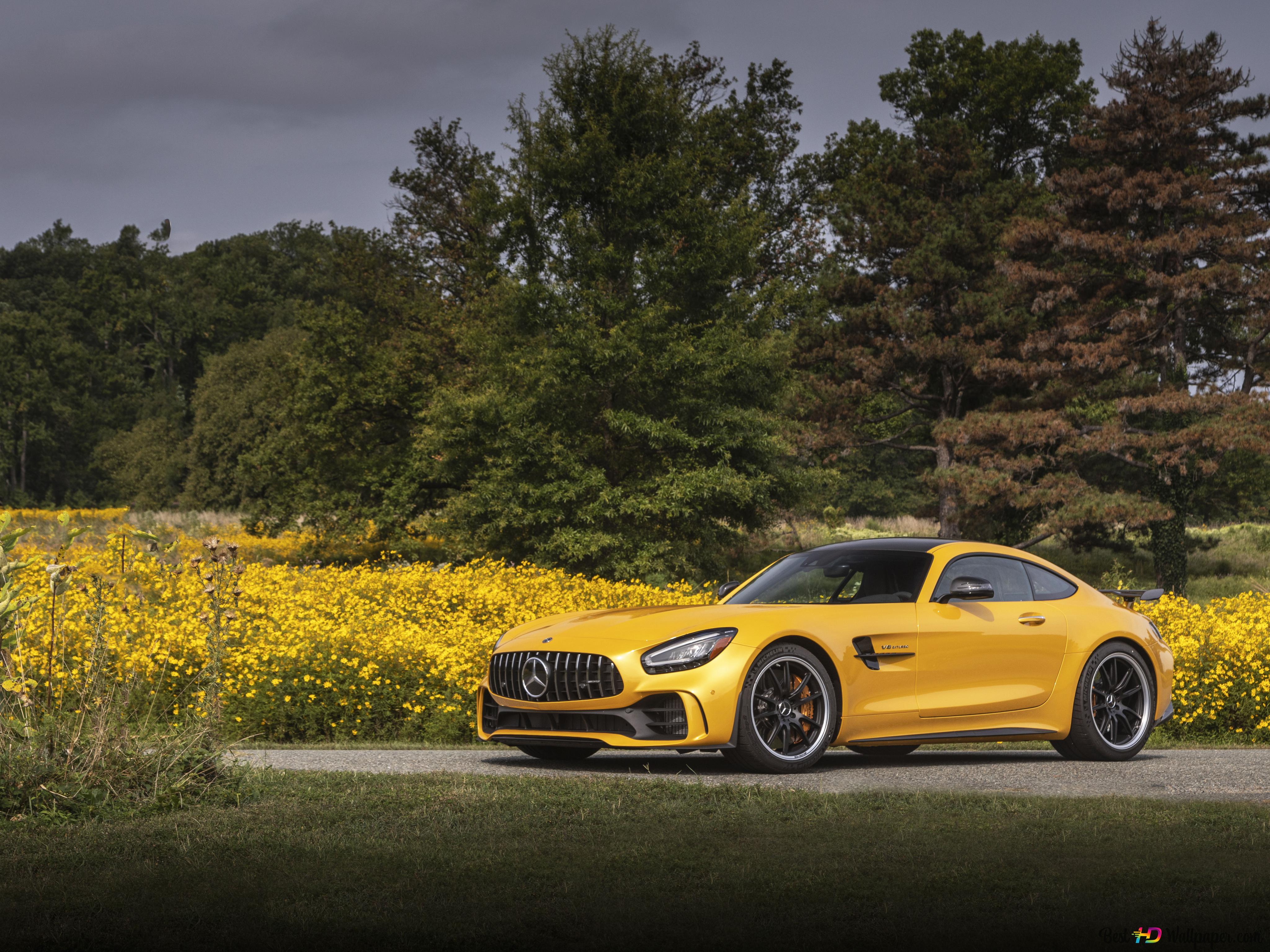 Mercedes-AMG GT, Mercedes-AMG, Gelbes Auto, Blumenwiese, Bäume, 4K, iPad-Hintergrundbild