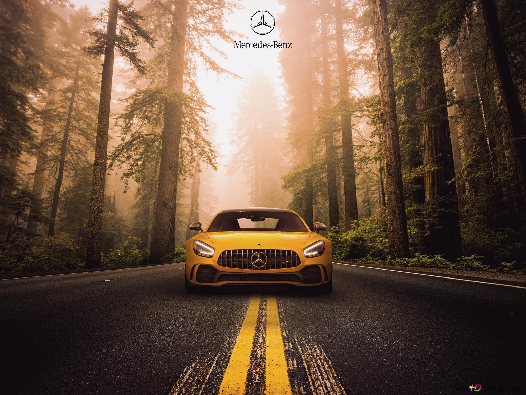Mercedes-AMG GT, Mercedes-Benz, Gelbes Auto, Wald, Nebel, Straße, Full HD, iPad-Hintergrundbild