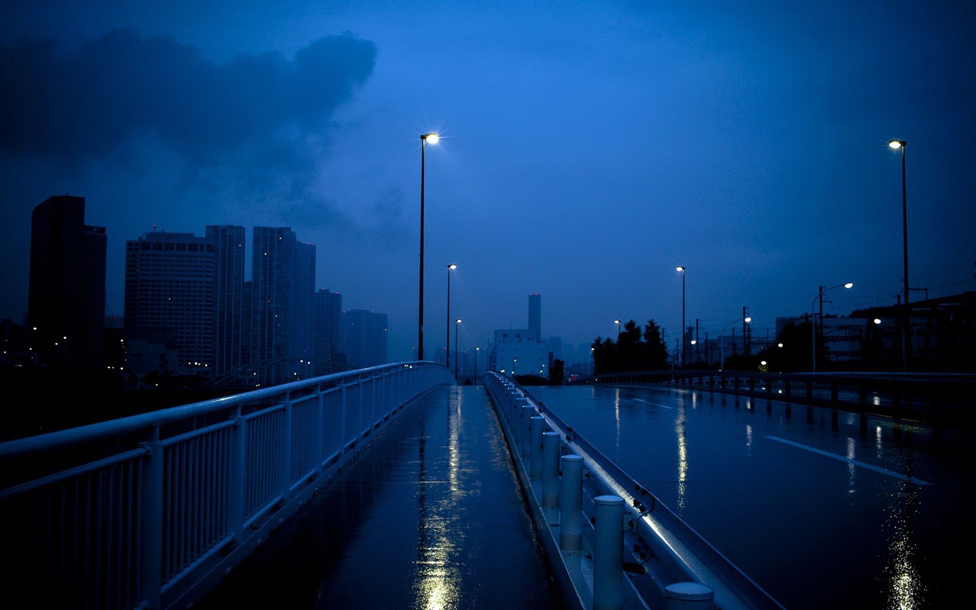 Straße, Nacht, Regen, Laternen, Blaue Stunde, 16:10, Full-HD-Hintergrundbild für den Desktop