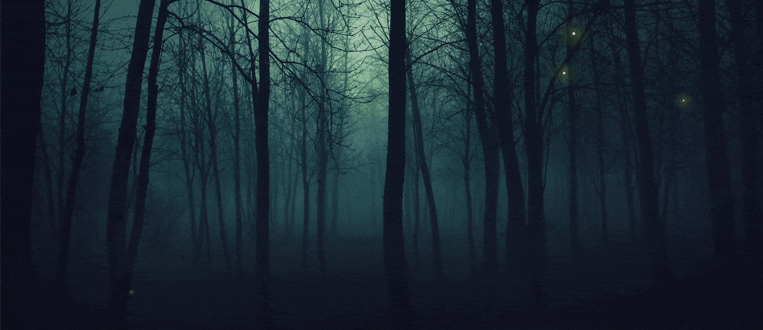 Dunkler Wald, Nebel, Bäume, Glühwürmchen, Mystisch, 21:9, HD-Hintergrundbild für den Desktop