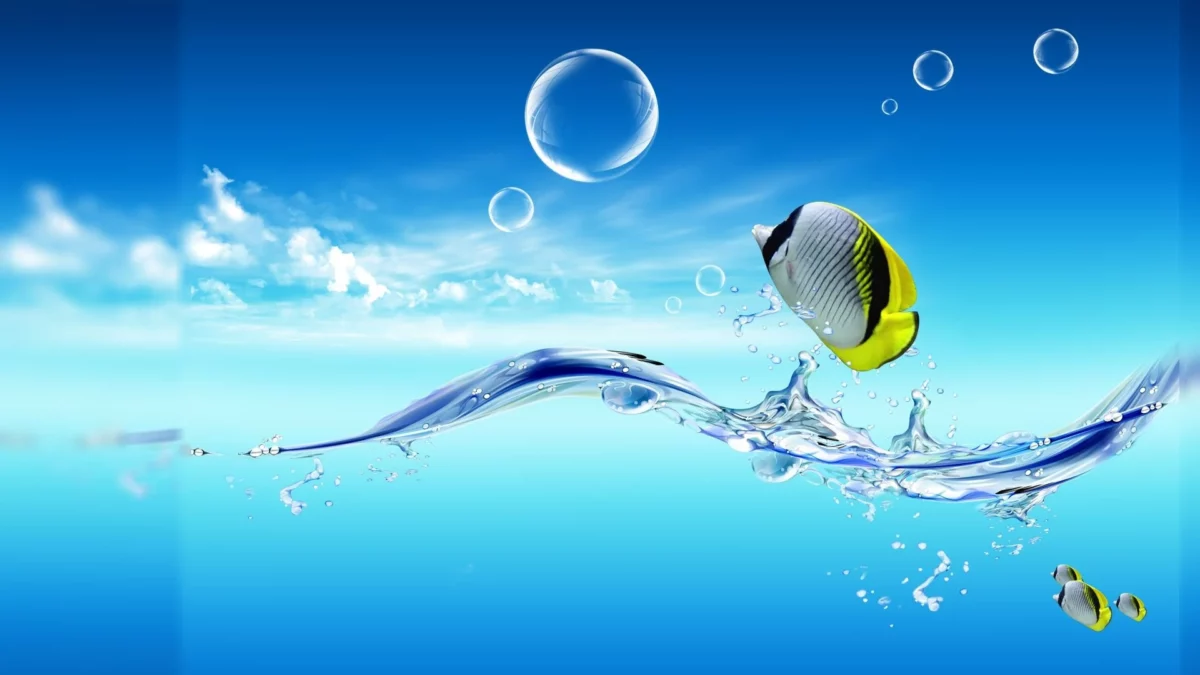 Fisch, Wasserspritzer, Blasen, Himmel, Hellblau, Hintergrund