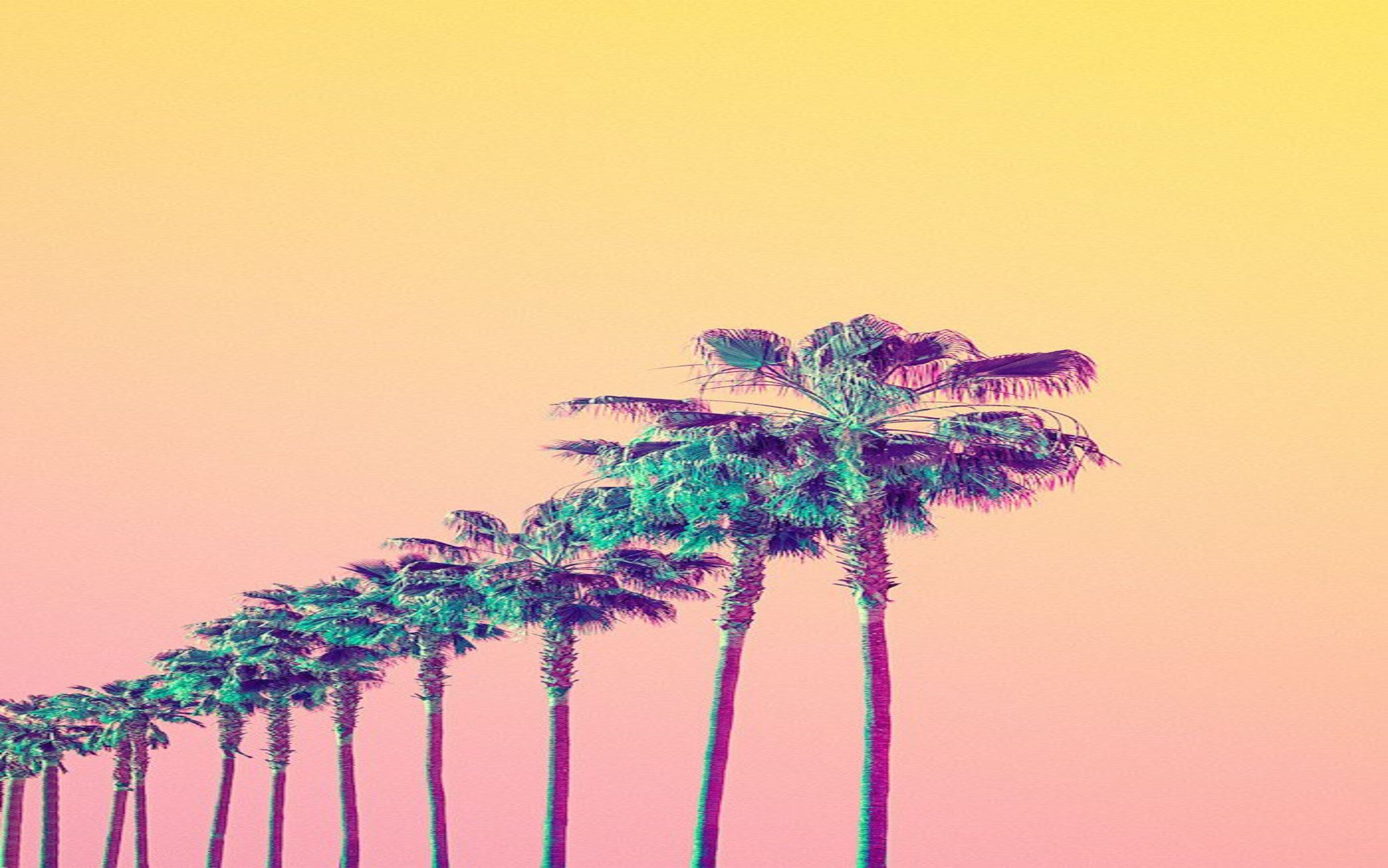 Palmen, Farbverlauf, Gelb Rosa, Vaporwave, 16:10, 2K-Hintergrundbild für den Desktop