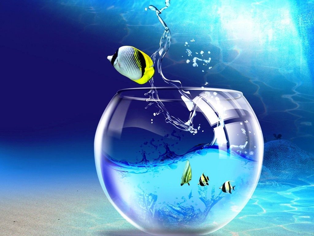 Goldfischglas, Fische, Unterwasser, Blau, Wasserspritzer, Hintergrundbild fürs iPad