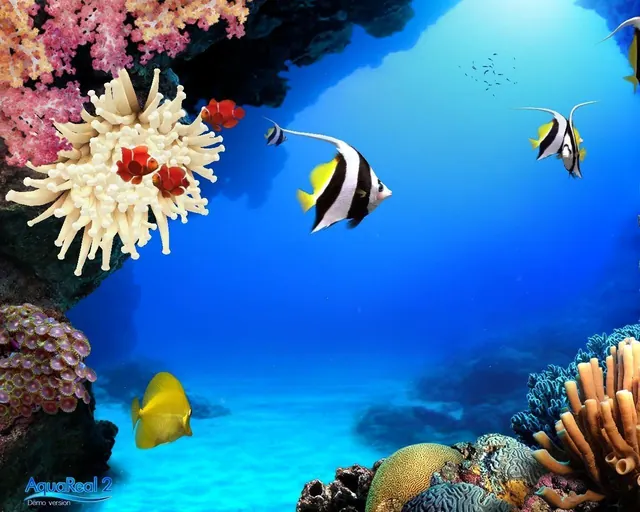 Aquarium-Hintergrundbilder