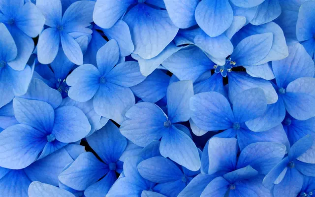 Blaue Hintergrundbilder