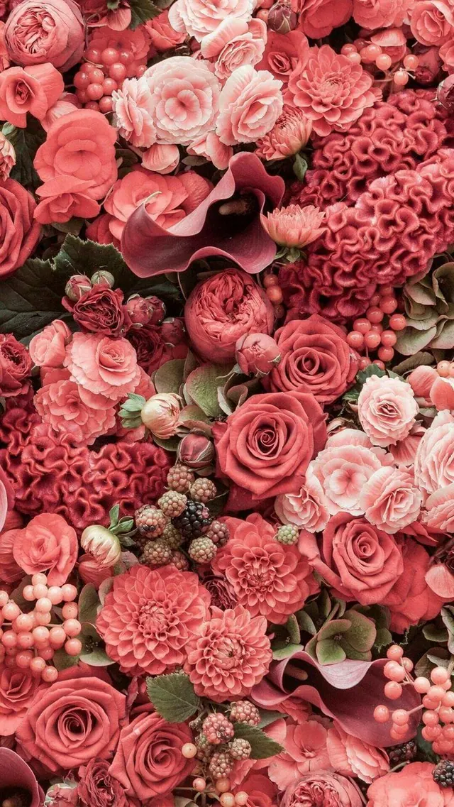 Blumen-Hintergrundbilder