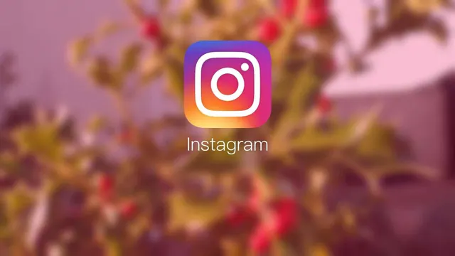 Instagram-Hintergrundbilder