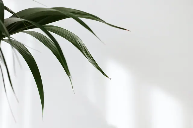 Einfache Hintergrundbilder