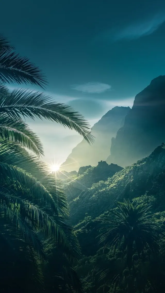 Natur-Hintergrundbilder
