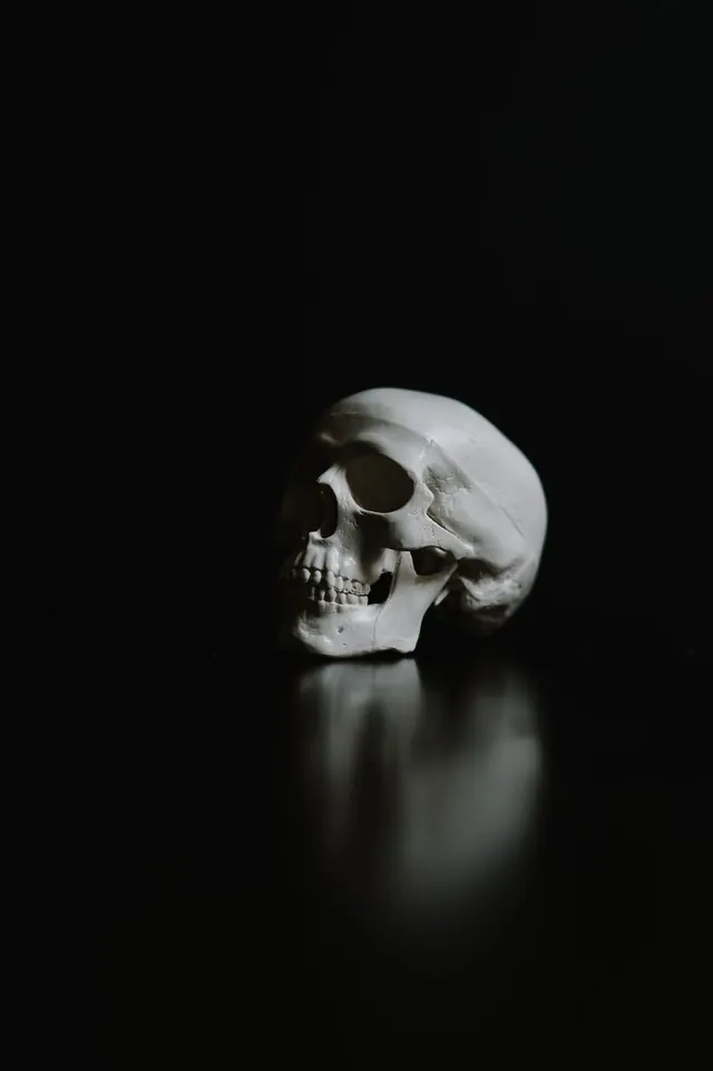 Totenkopf-Hintergrundbilder
