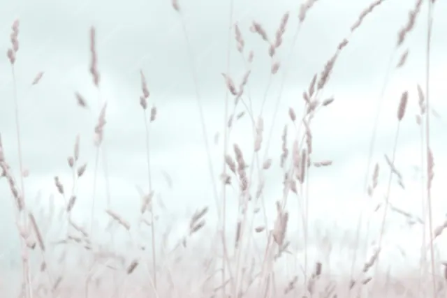 Unscharfe Hintergrundbilder