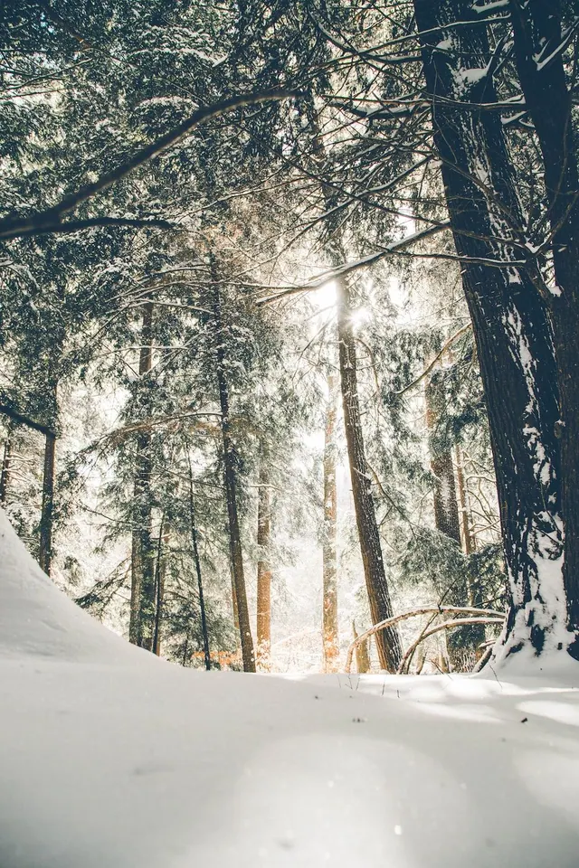 Winterlandschafts-Hintergrundbilder