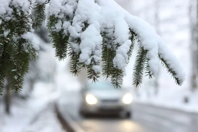 Winterliche Hintergrundbilder