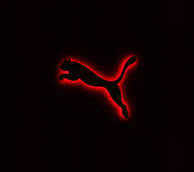 Puma-Hintergrundbilder