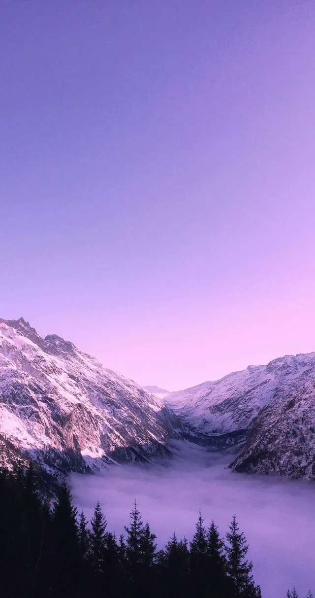 Violette Hintergrundbilder
