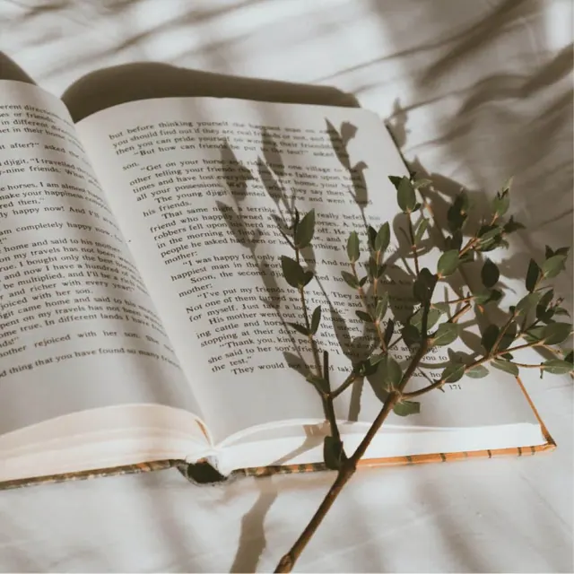 Bücher-Hintergrundbilder