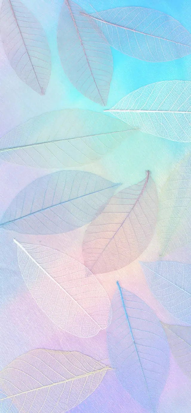 Pastellmuster-Hintergrundbilder